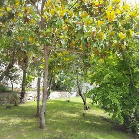 Apartment Panoramic View Moneglia