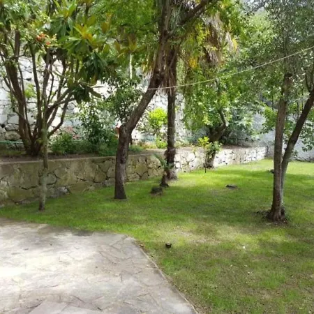 Panoramic View *